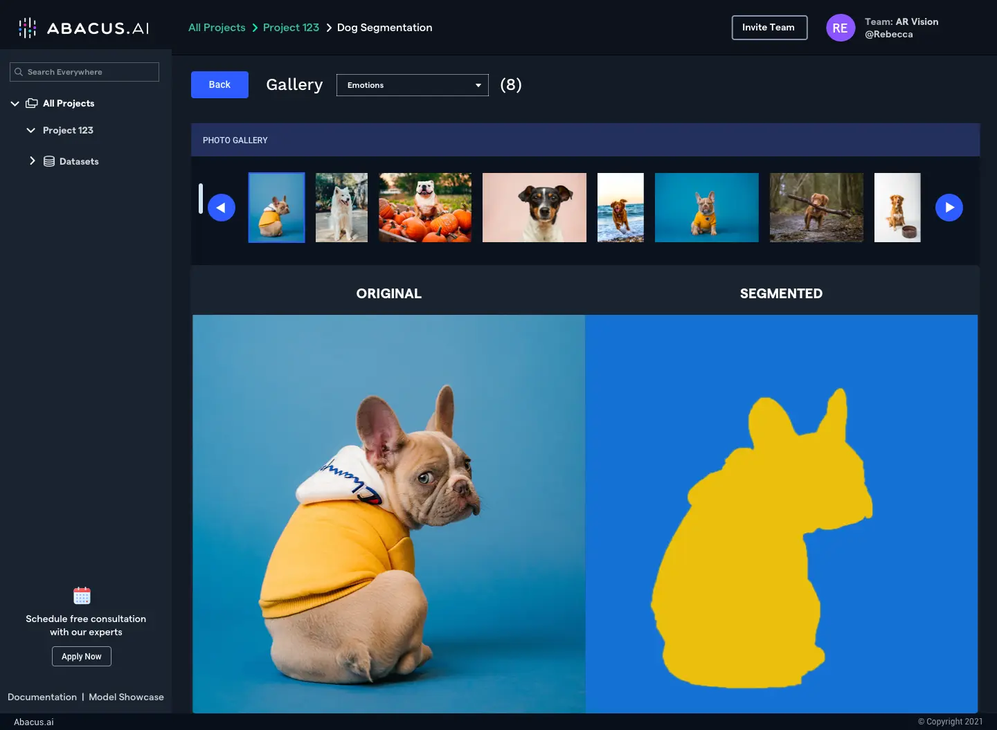 IMAGE SEGMENTATION GALLERY