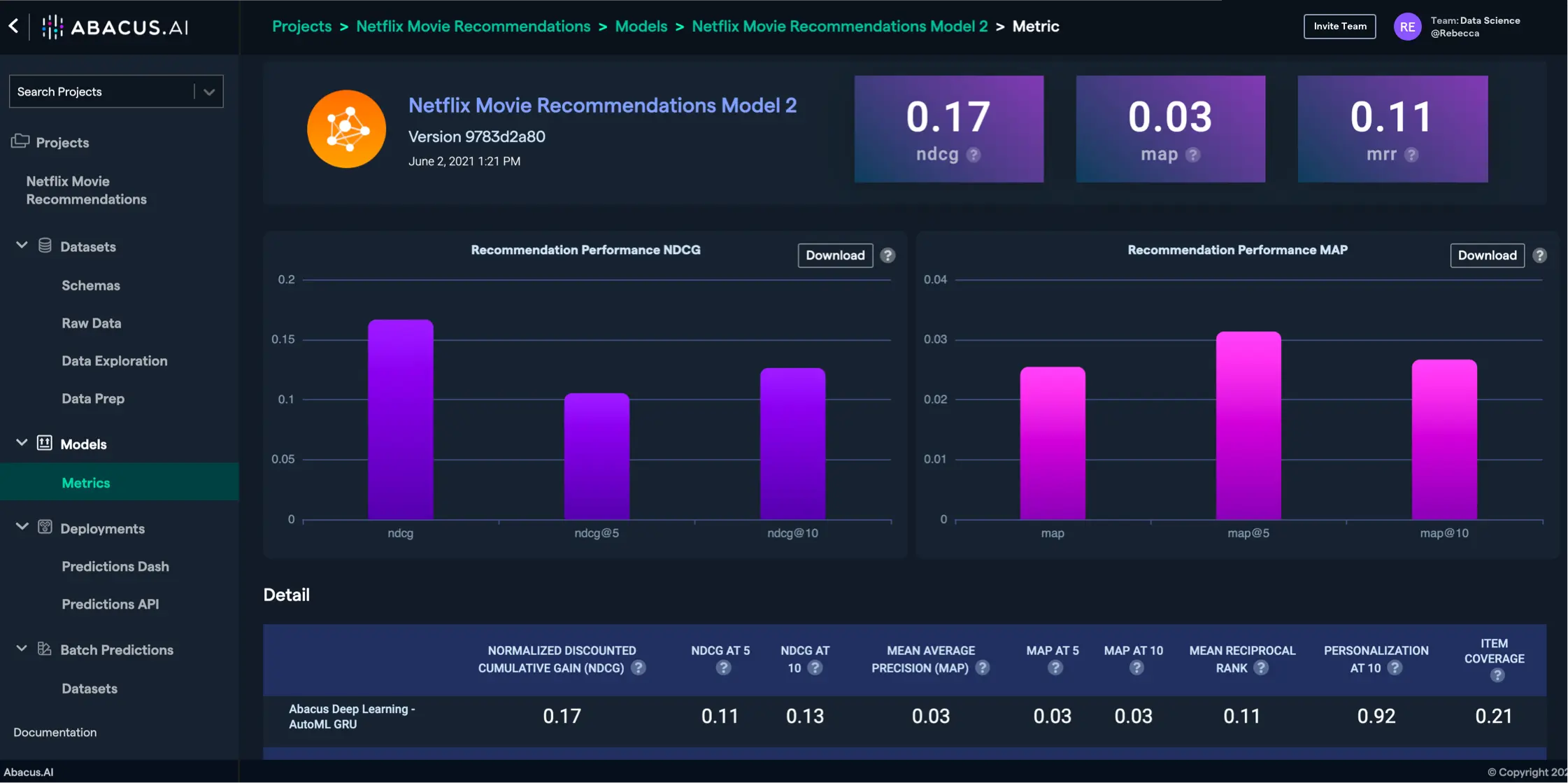 MODEL PERFORMANCE METRICS